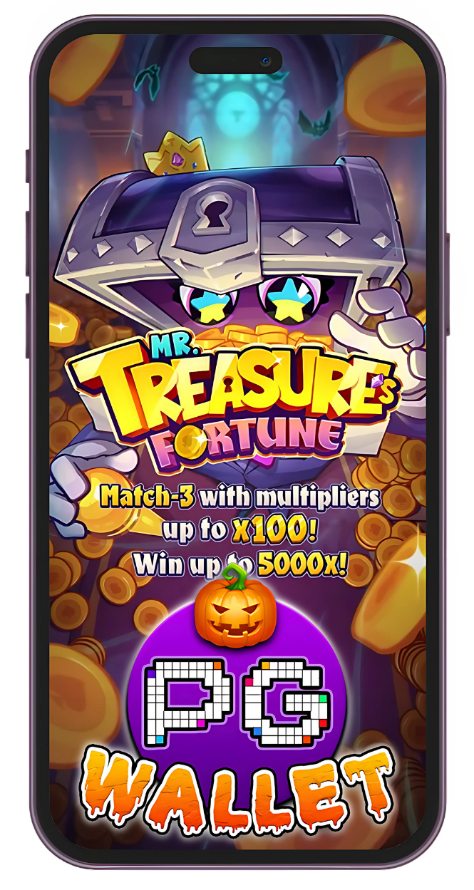 PG WALLET MR.TREASURE'S FORTUNE